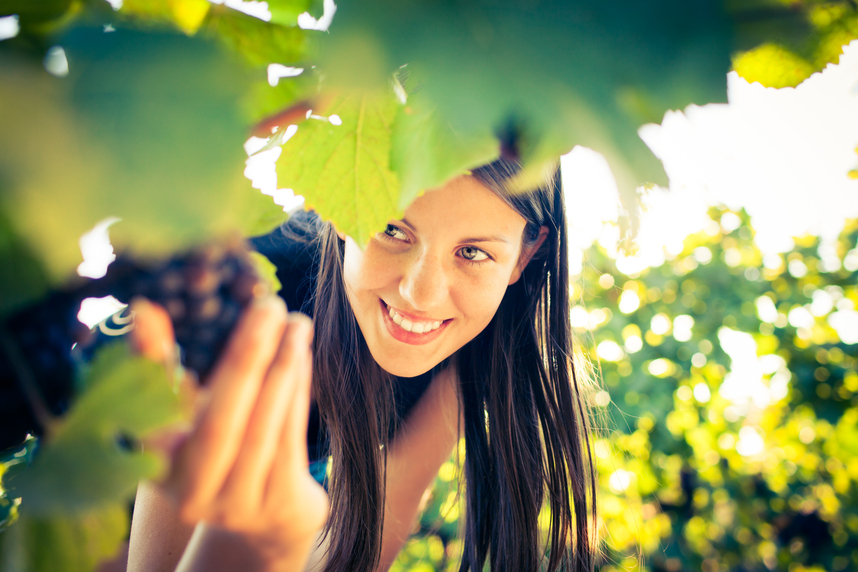 Il vino è donna: curiosità e vini perfetti per l'8 marzo Il vino è donna: curiosità e vini perfetti per l'8 marzo